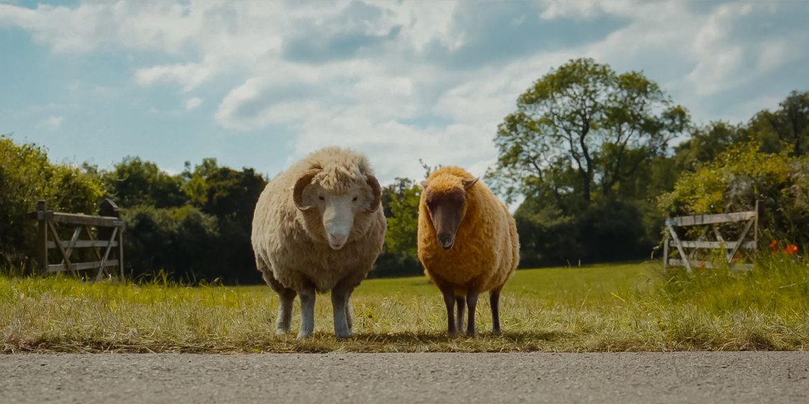 Critique : Les Moutons Détectives